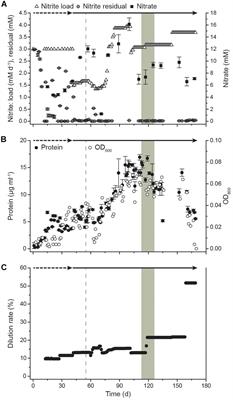 Cultivation and Transcriptional Analysis of a Canonical Nitrospira Under Stable Growth Conditions